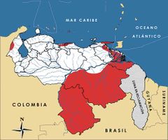 Mapa de distribución de Morphnus guianensis