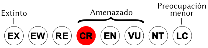 Archivo:Status iucn3.1 CR es.svg